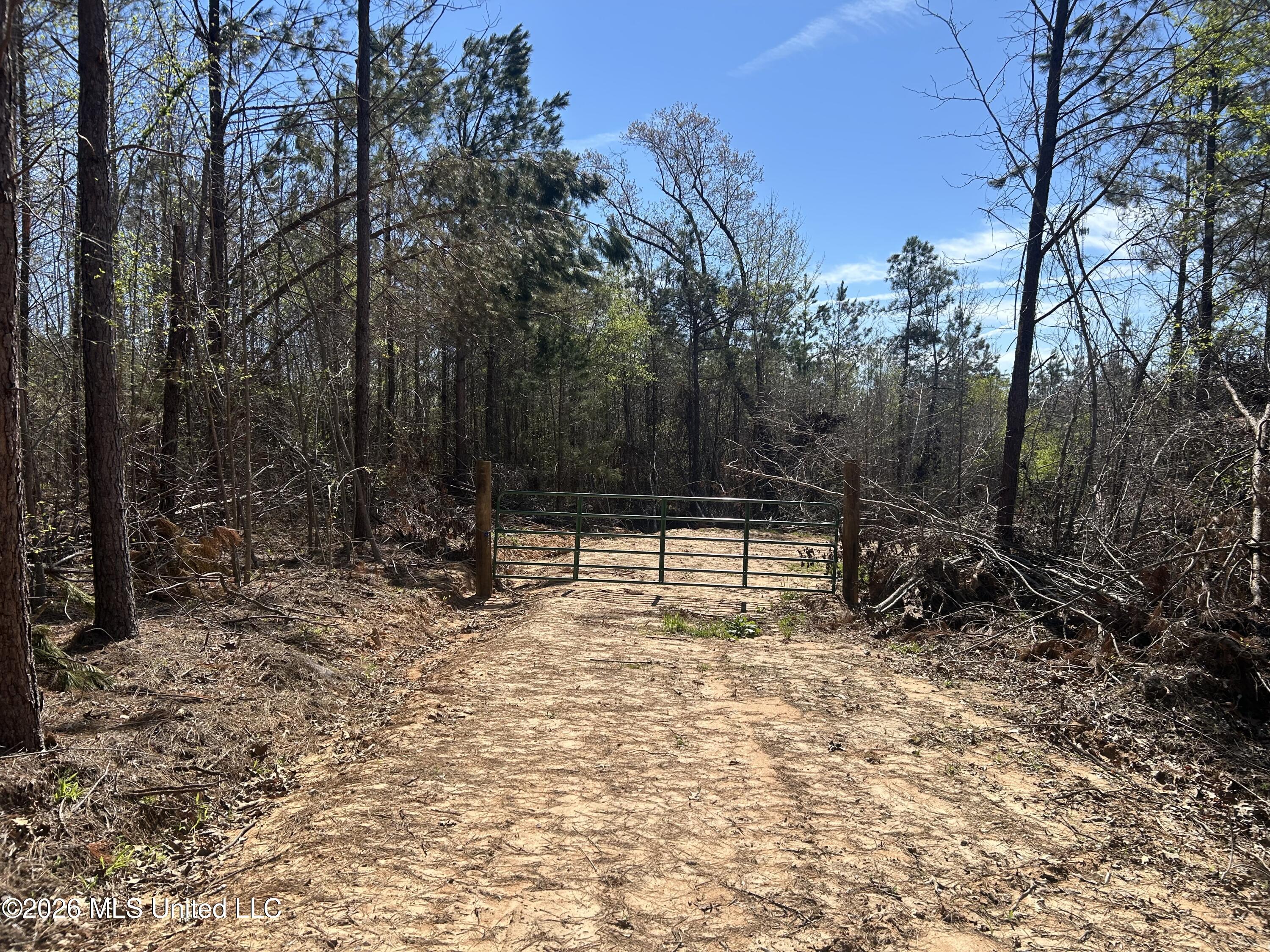 41 Mississippi Pontotoc, MS 38863 - Photo 2 of 47 Photo Mar 23 2026, 11 25 33 AM