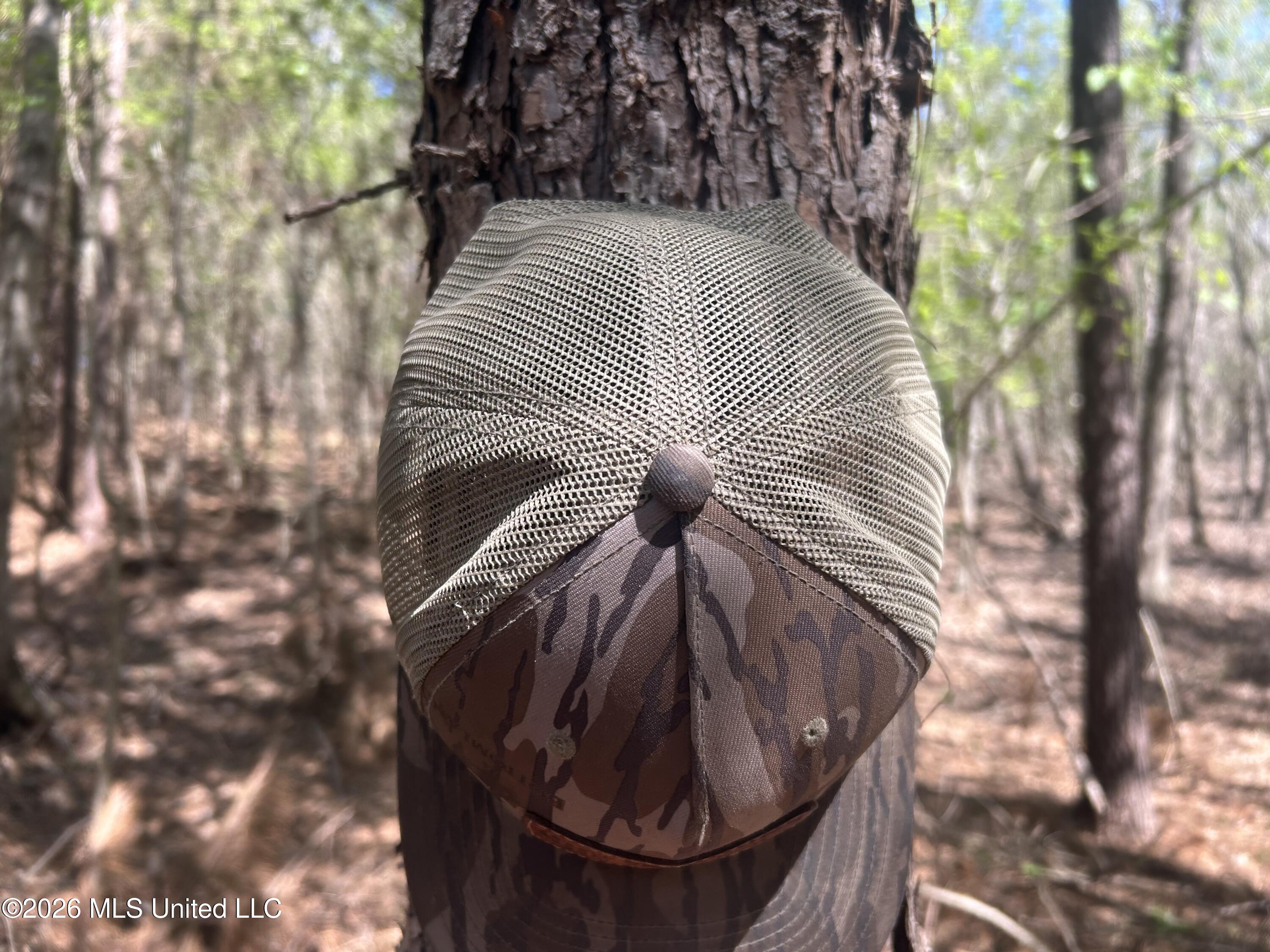 41 Mississippi Pontotoc, MS 38863 - Photo 21 of 47 Photo Mar 23 2026, 11 52 46 AM