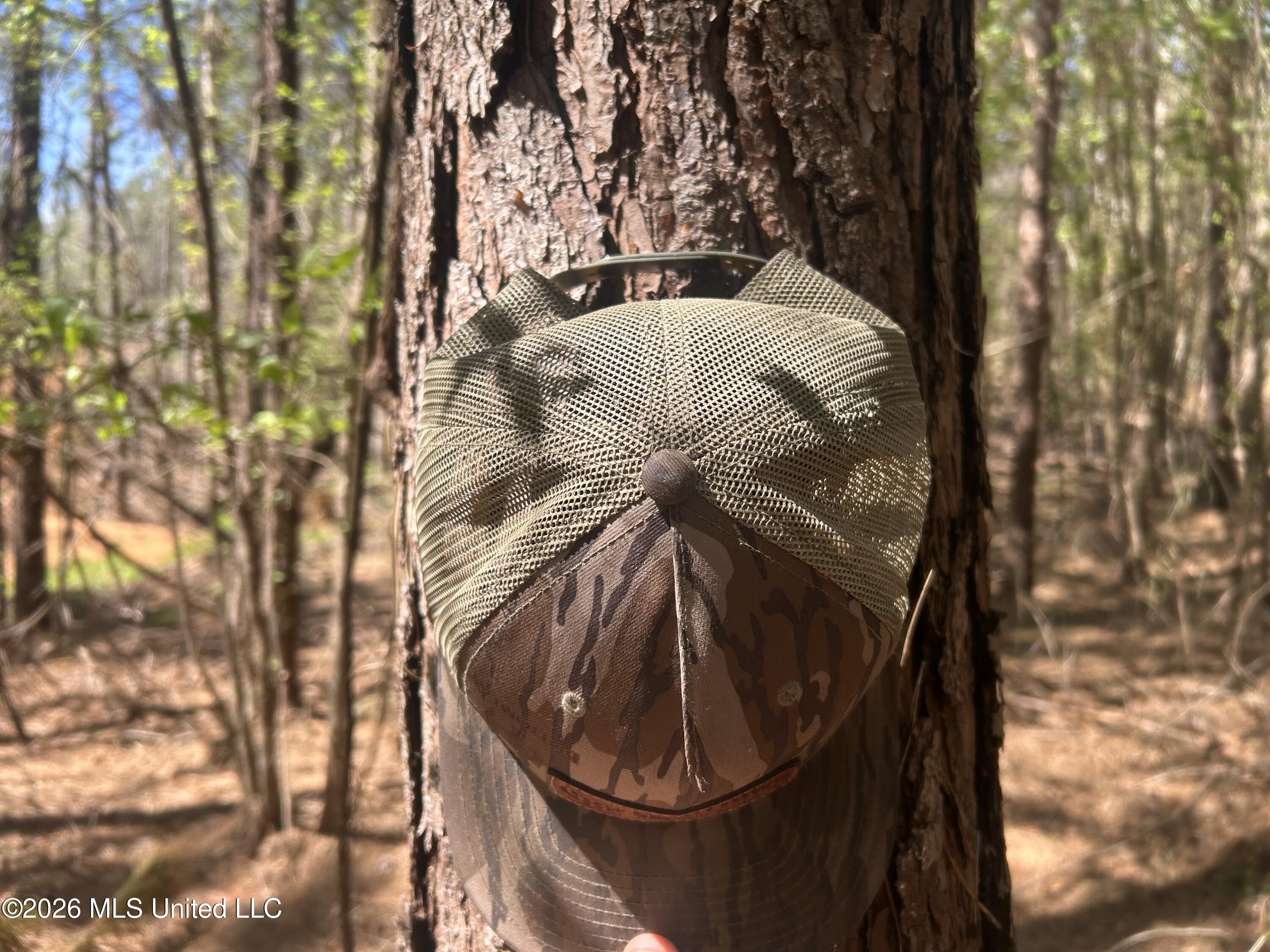 41 Mississippi Pontotoc, MS 38863 - Photo 22 of 47 Photo Mar 23 2026, 11 52 57 AM