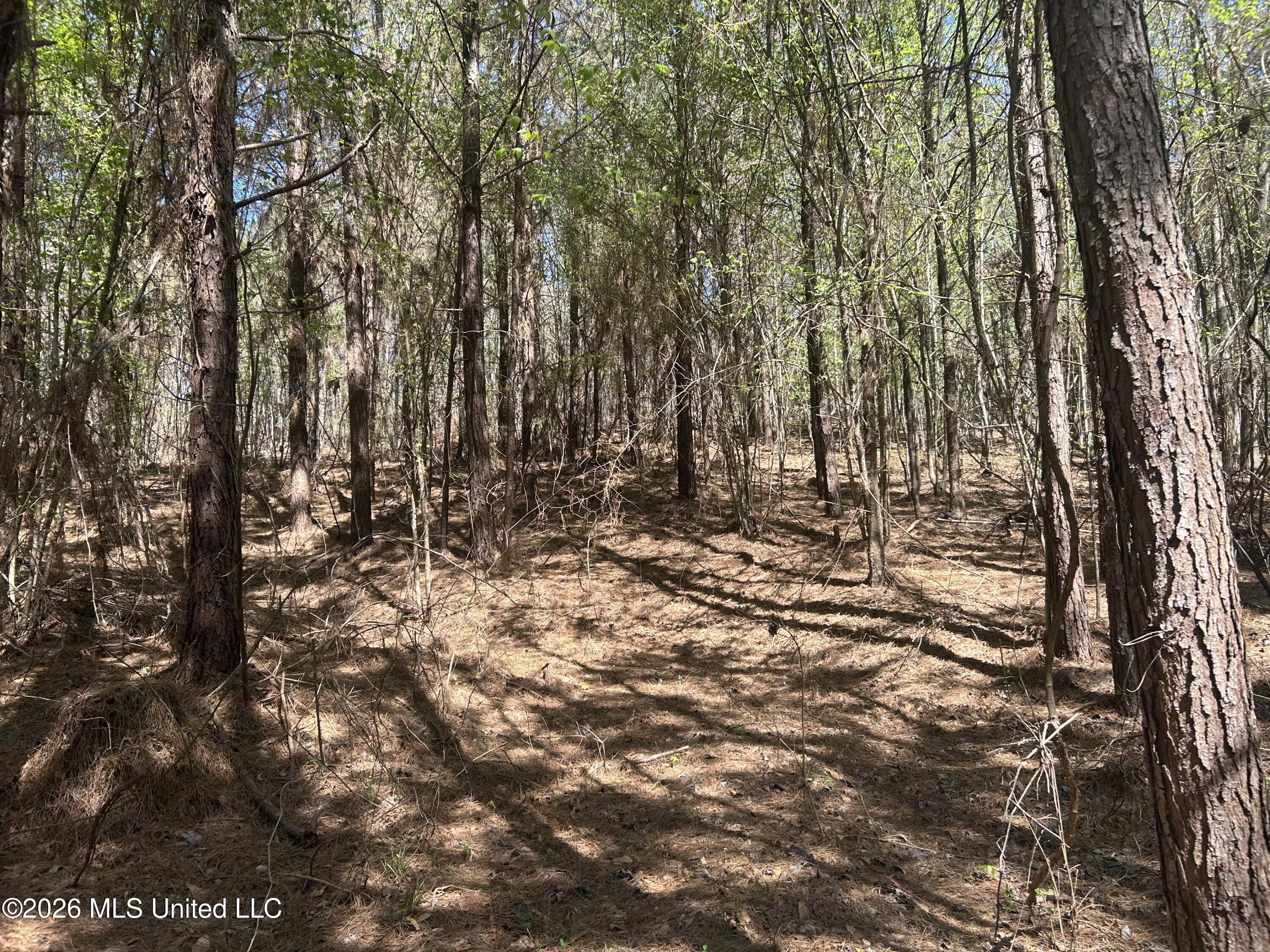 41 Mississippi Pontotoc, MS 38863 - Photo 23 of 47 Photo Mar 23 2026, 11 53 03 AM