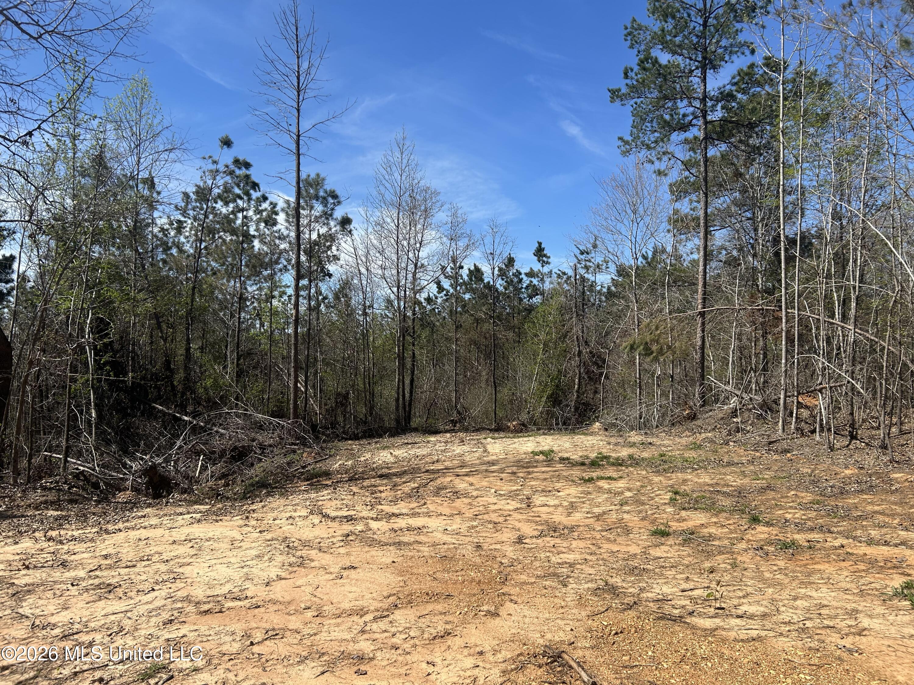 41 Mississippi Pontotoc, MS 38863 - Photo 24 of 47 Photo Mar 23 2026, 11 55 10 AM
