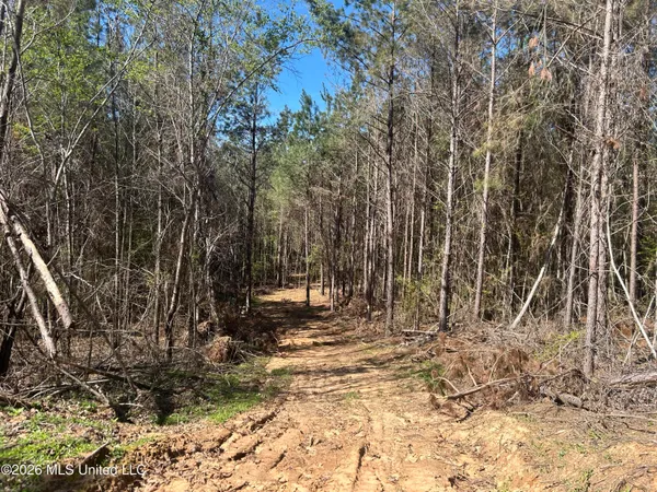 $229,900 | 41 Mississippi, Pontotoc, MS 38863