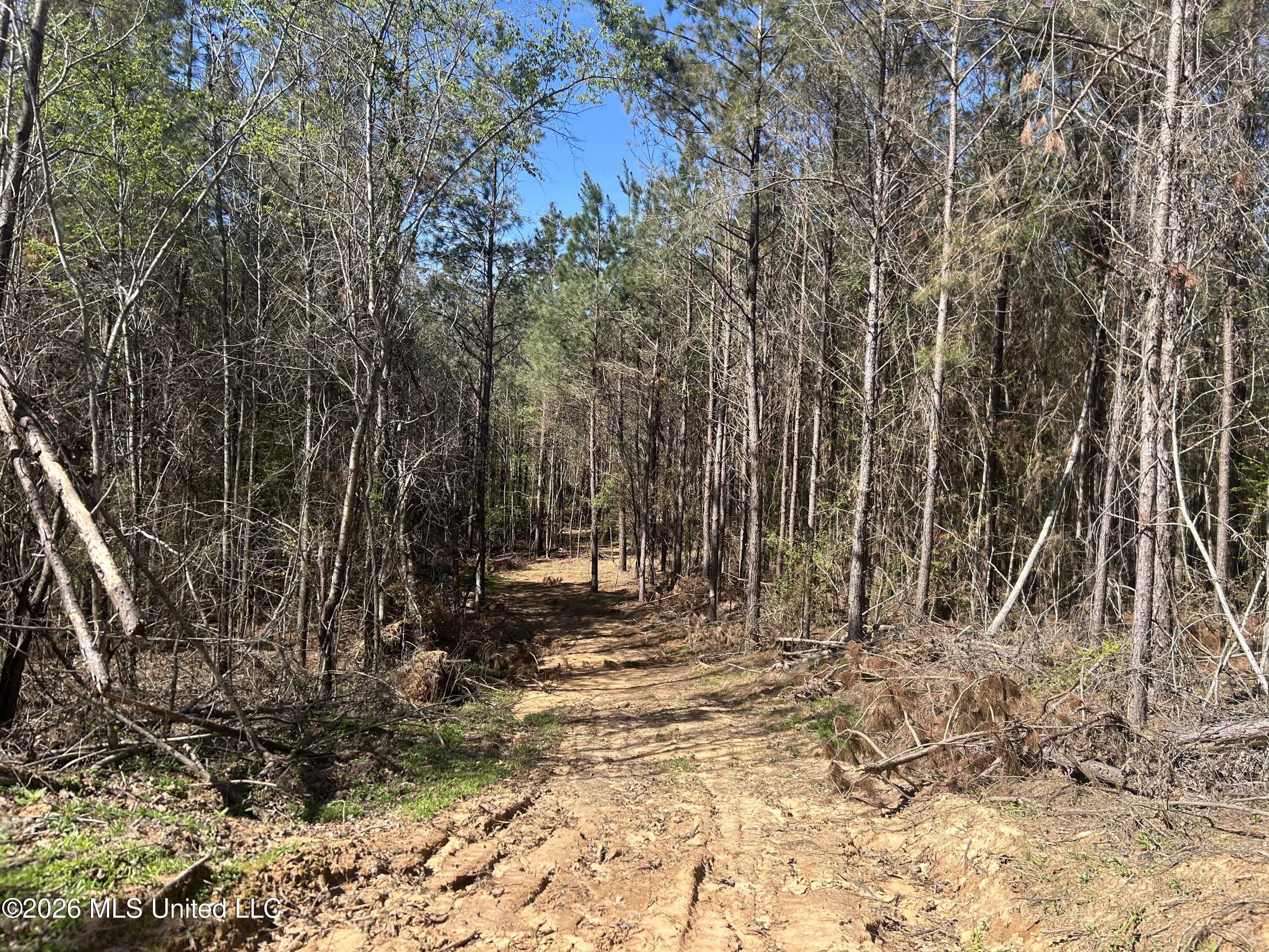41 Mississippi Pontotoc, MS 38863 - Photo 3 of 47 Photo Mar 23 2026, 11 27 52 AM