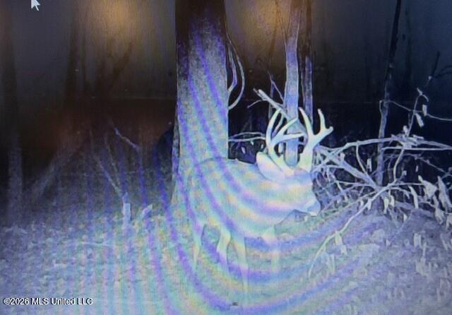 41 Mississippi Pontotoc, MS 38863 - Photo 31 of 47 Photo Mar 31 2026, 8 04 42 PM (1)