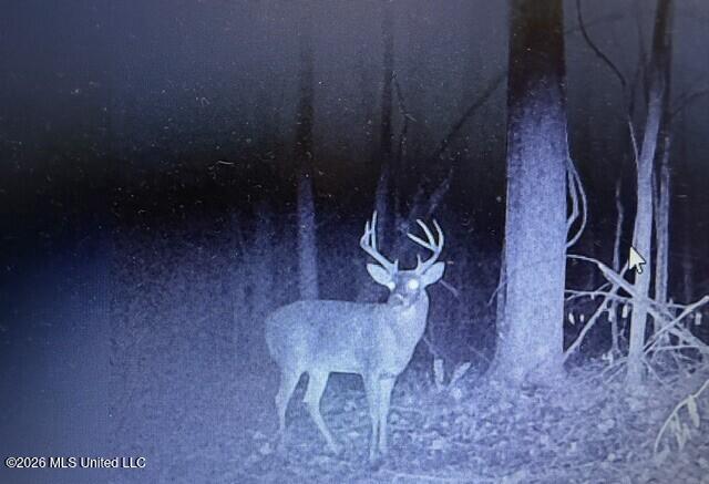 41 Mississippi Pontotoc, MS 38863 - Photo 32 of 47 Photo Mar 31 2026, 8 04 42 PM (2)