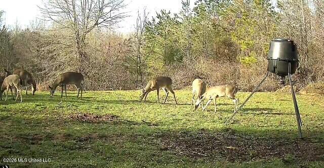 41 Mississippi Pontotoc, MS 38863 - Photo 33 of 47 Photo Mar 31 2026, 8 04 42 PM (3) (1)
