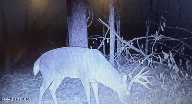 41 Mississippi Pontotoc, MS 38863 - Photo 34 of 47 Photo Mar 31 2026, 8 04 42 PM (3)