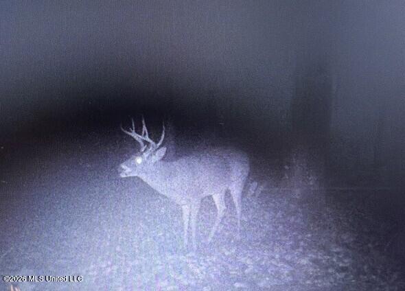 41 Mississippi Pontotoc, MS 38863 - Photo 35 of 47 Photo Mar 31 2026, 8 04 42 PM (4)