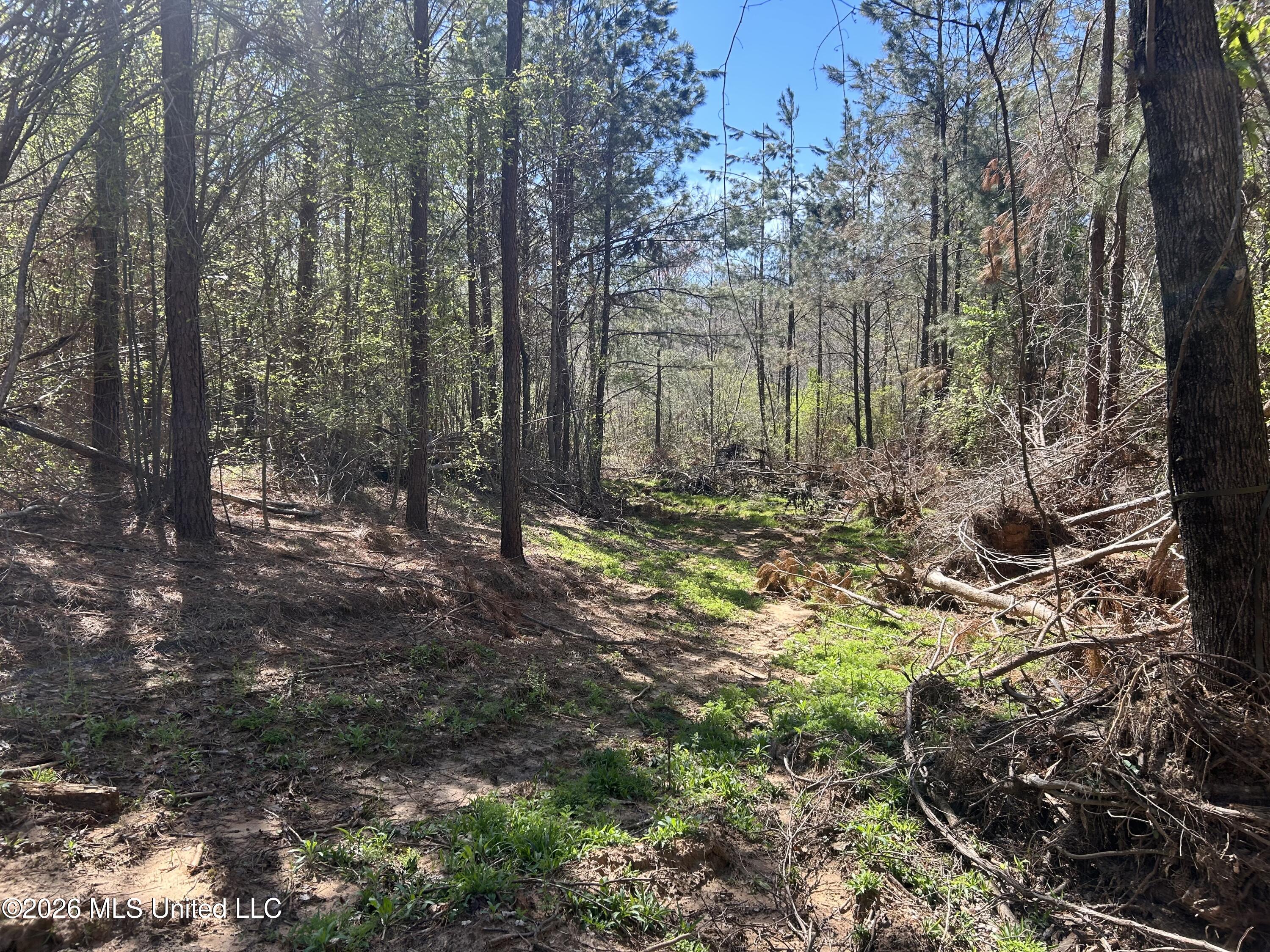 41 Mississippi Pontotoc, MS 38863 - Photo 4 of 47 Photo Mar 23 2026, 11 28 57 AM