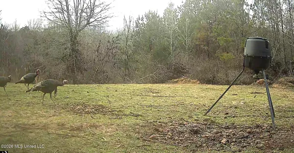 $229,900 | 41 Mississippi, Pontotoc, MS 38863