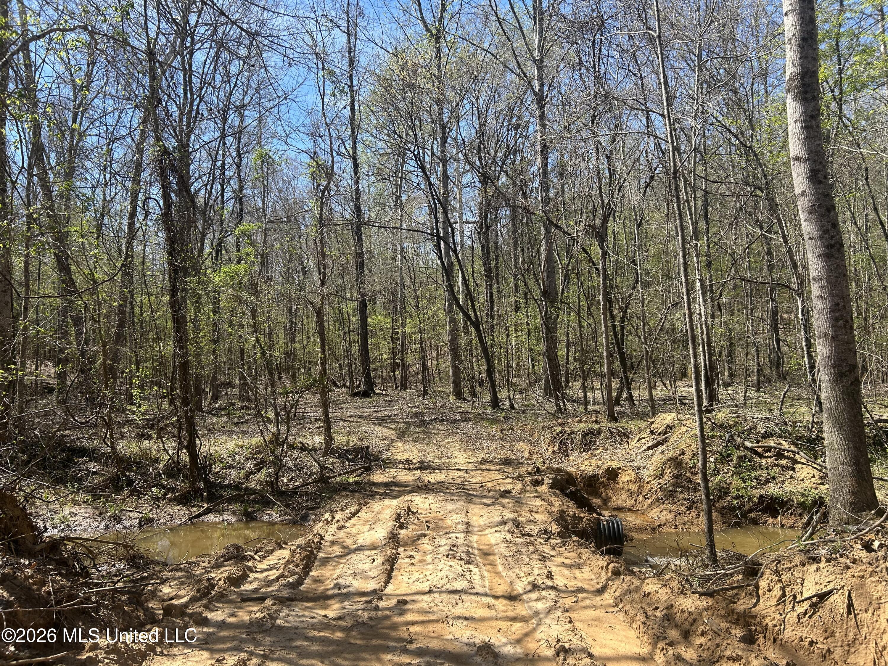 41 Mississippi Pontotoc, MS 38863 - Photo 5 of 47 Photo Mar 23 2026, 11 32 13 AM
