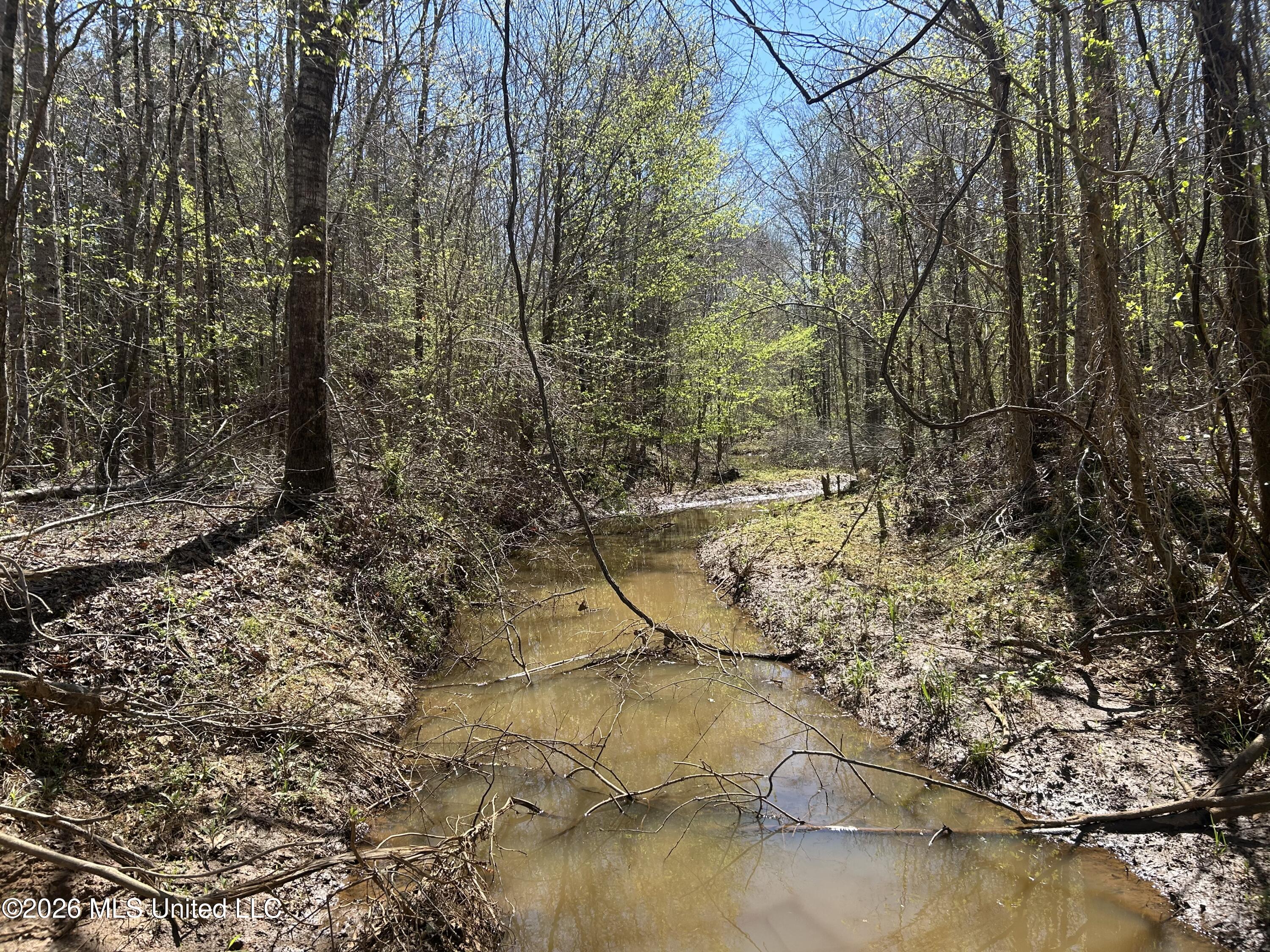 41 Mississippi Pontotoc, MS 38863 - Photo 6 of 47 Photo Mar 23 2026, 11 32 27 AM