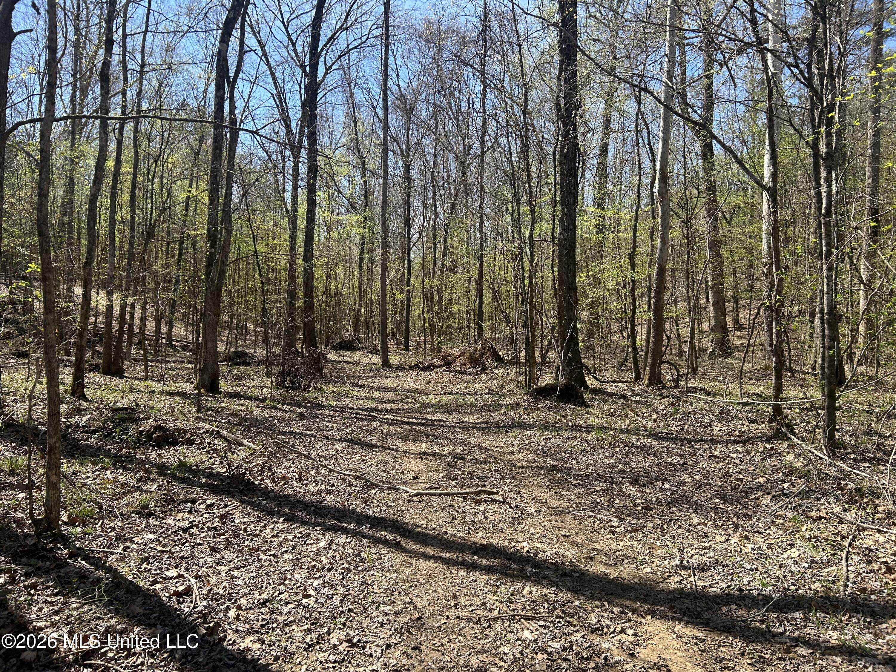 41 Mississippi Pontotoc, MS 38863 - Photo 7 of 47 Photo Mar 23 2026, 11 32 45 AM
