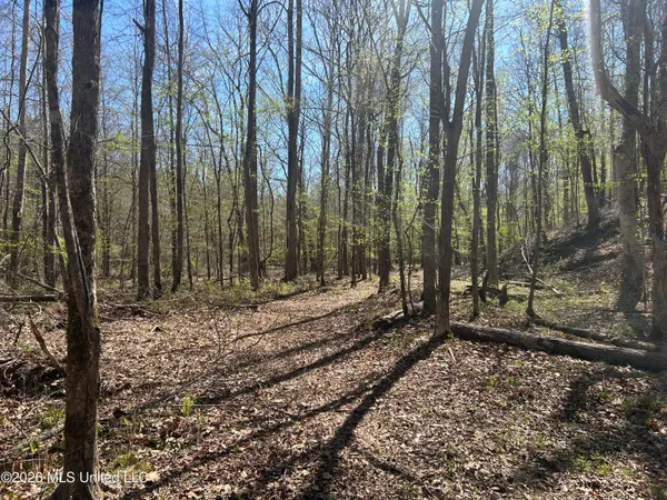 $229,900 | 41 Mississippi, Pontotoc, MS 38863