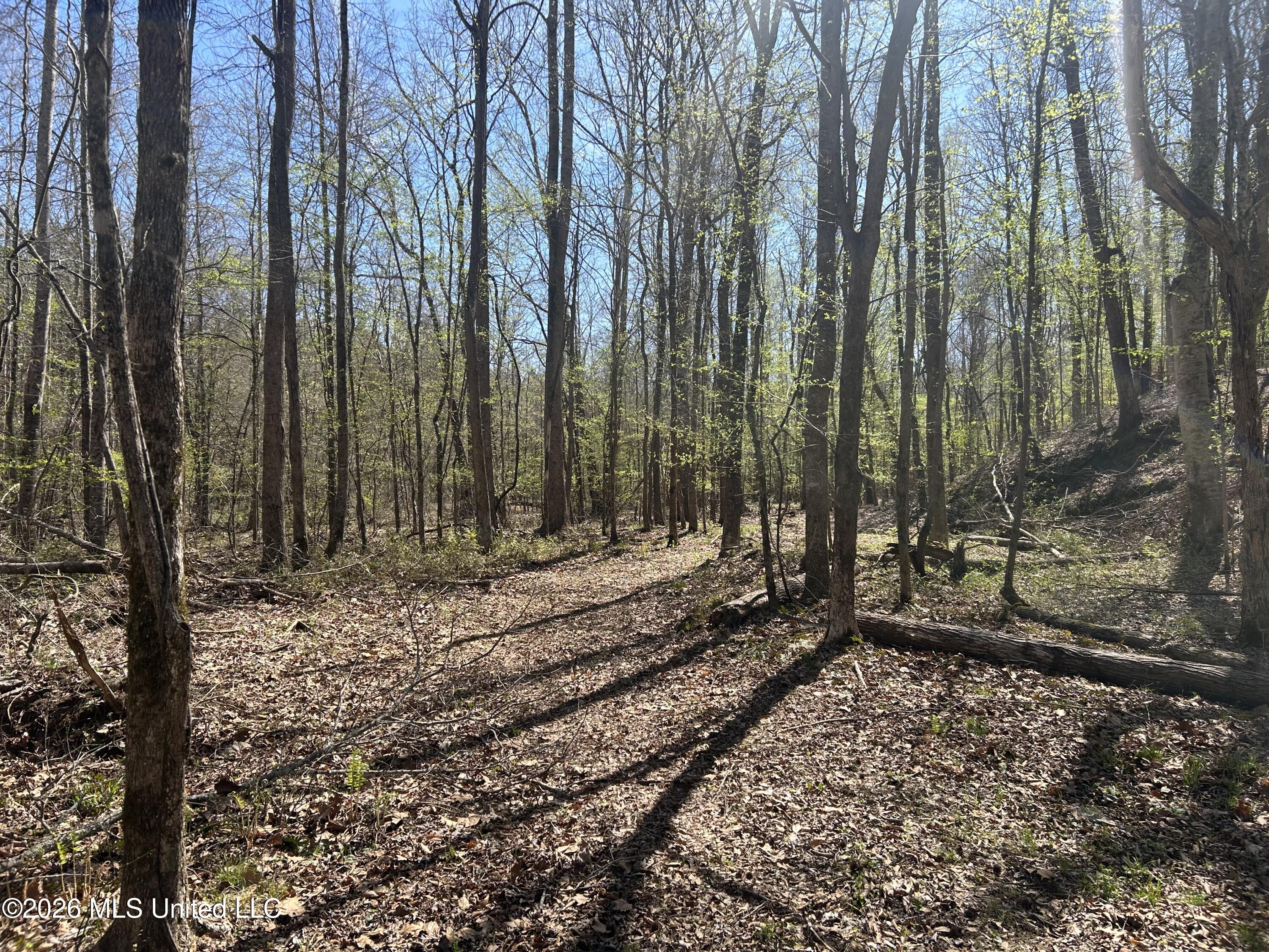 41 Mississippi Pontotoc, MS 38863 - Photo 8 of 47 Photo Mar 23 2026, 11 33 15 AM