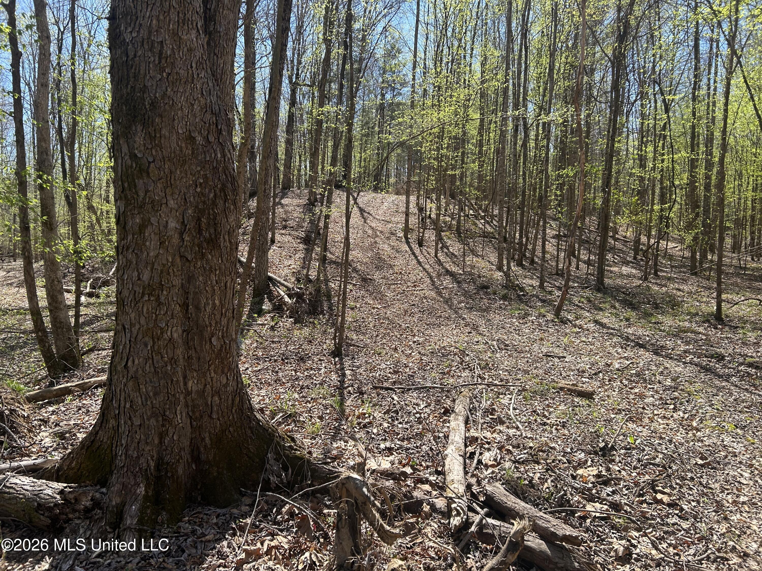 41 Mississippi Pontotoc, MS 38863 - Photo 9 of 47 Photo Mar 23 2026, 11 33 29 AM