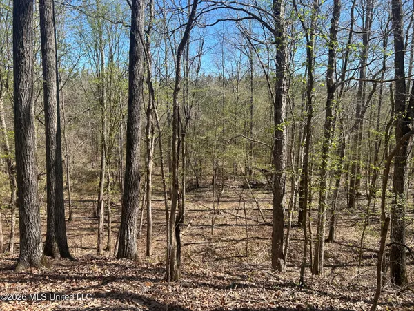 $229,900 | 41 Mississippi, Pontotoc, MS 38863