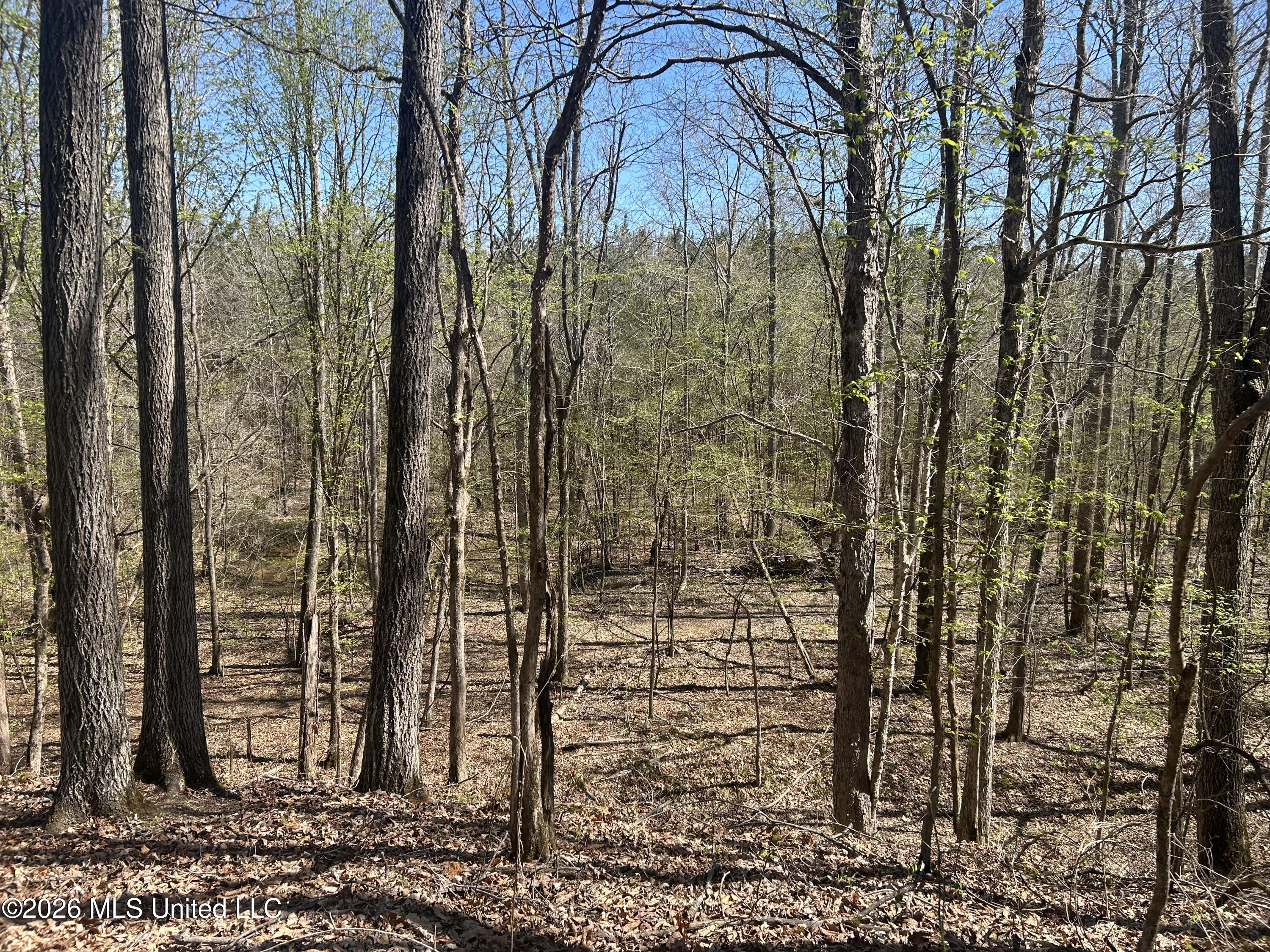 41 Mississippi Pontotoc, MS 38863 - Photo 10 of 47 Photo Mar 23 2026, 11 34 15 AM