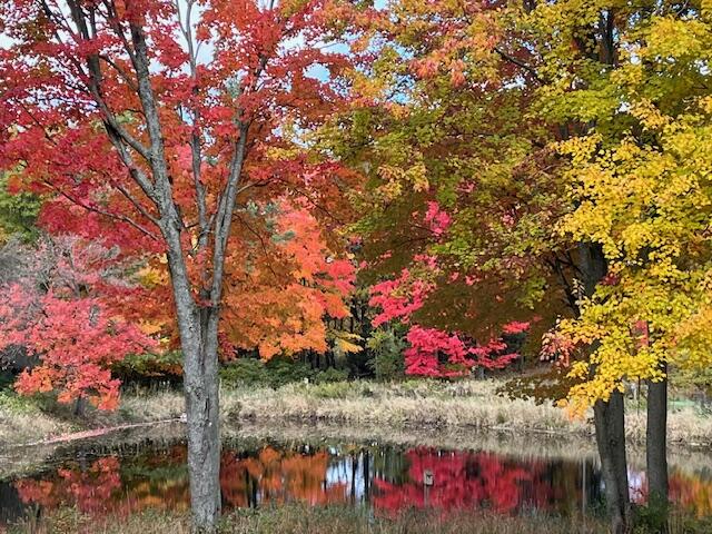 14321 North Chestnut Avenue Reed City, MI 49677 - Photo 16 of 35 IMG_4282