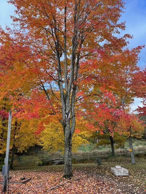 14321 North Chestnut Avenue Reed City, MI 49677 - Photo 17 of 35 IMG_4279