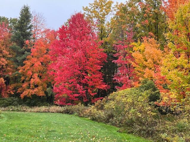 14321 North Chestnut Avenue Reed City, MI 49677 - Photo 18 of 35 IMG_4276