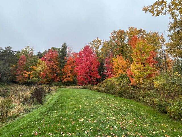 14321 North Chestnut Avenue Reed City, MI 49677 - Photo 19 of 35 IMG_4277
