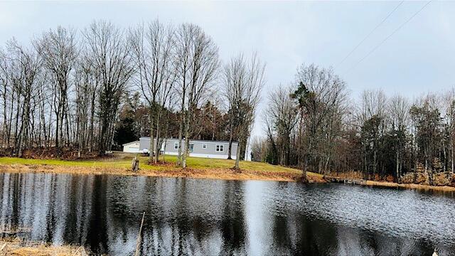 14321 North Chestnut Avenue Reed City, MI 49677 - Photo 2 of 35 IMG_3258