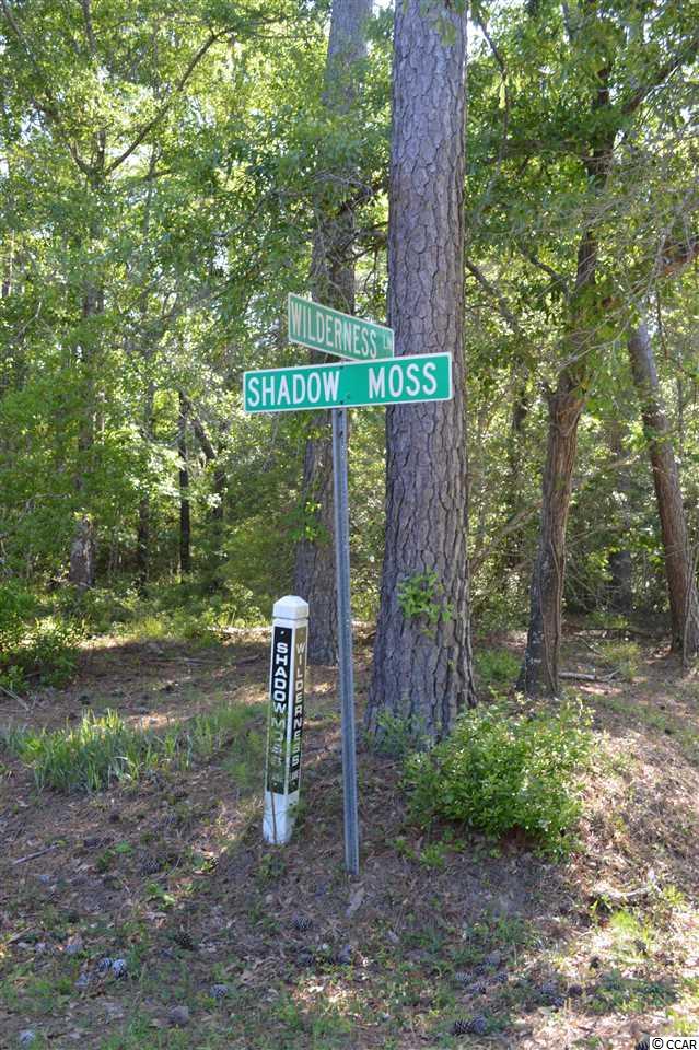 3358 Shadow Moss Lane Murrells Inlet, SC 29576 - Photo 2 of 14 Gallery Image 2