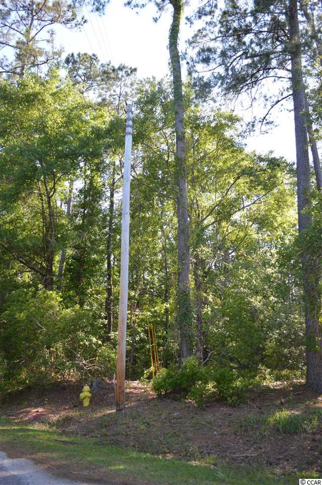3358 Shadow Moss Lane Murrells Inlet, SC 29576 - Photo 5 of 14 Gallery Image 5