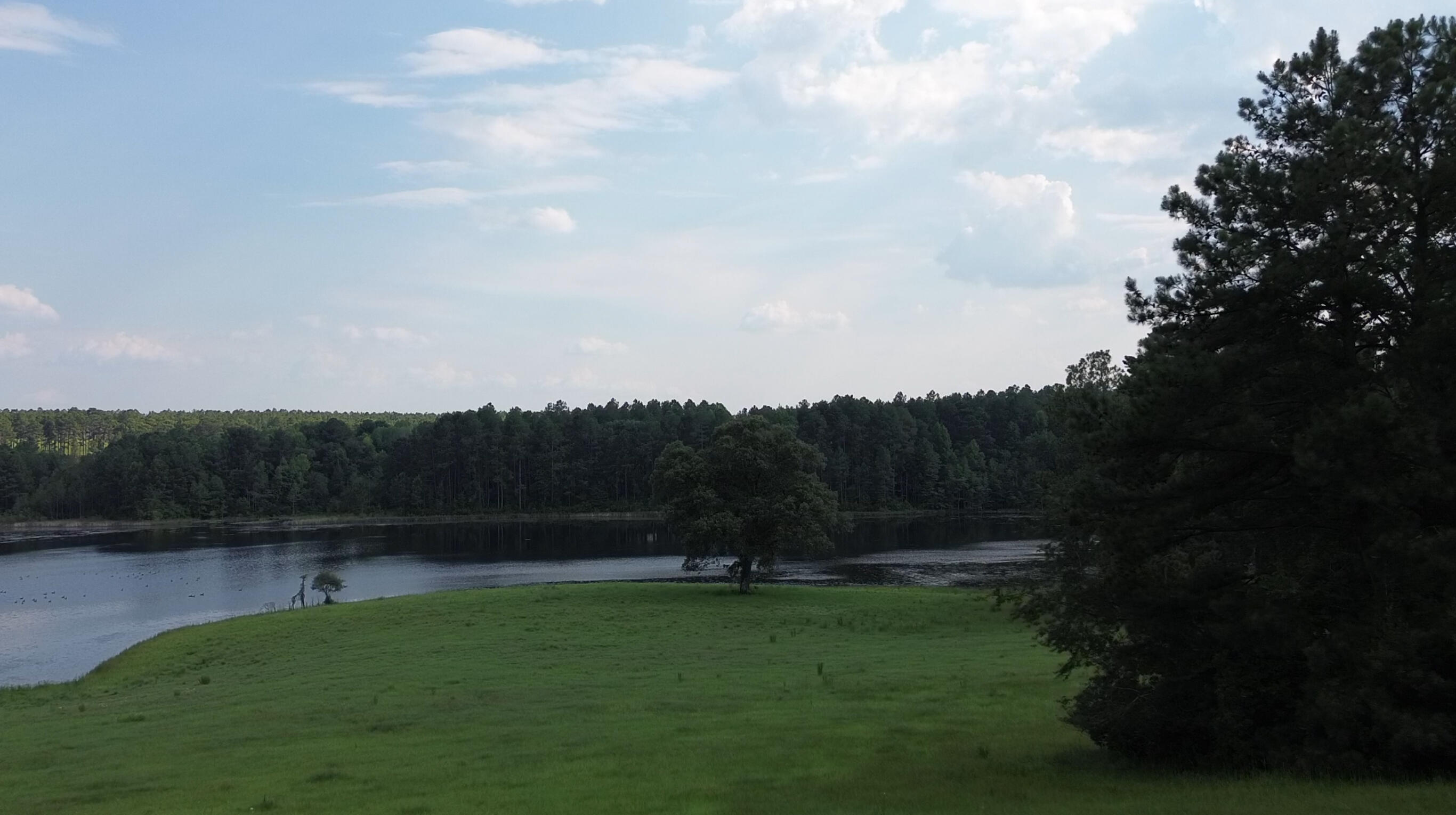 -lot 47 Laughlin Loop Aiken, SC 29805 - Photo 8 of 13