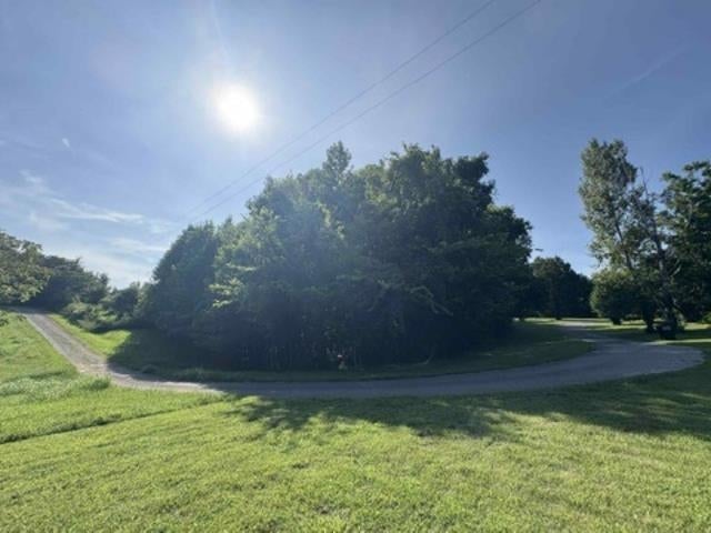 12-29h Finney Road Glasgow, KY 42141 - Photo 16 of 16 Gallery Image 16