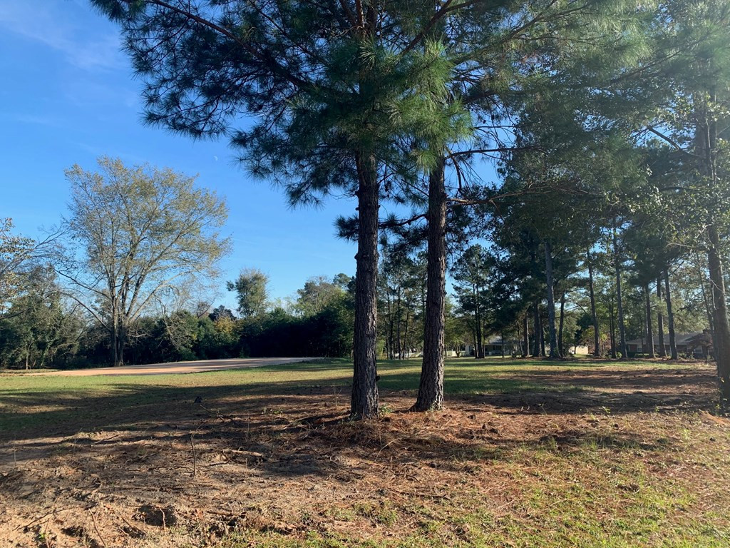 1801 Womrath Road North Augusta, SC 29841 - Photo 3 of 3 Gallery Image 3