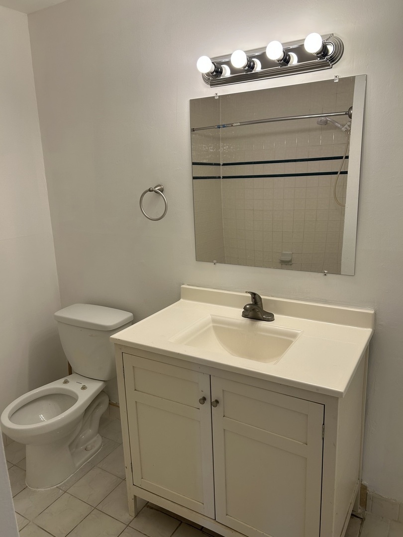 242 George Street, Unit B Bensenville, IL 60106 - Photo 6 of 11 a bathroom with a sink vanity mirror and toilet
