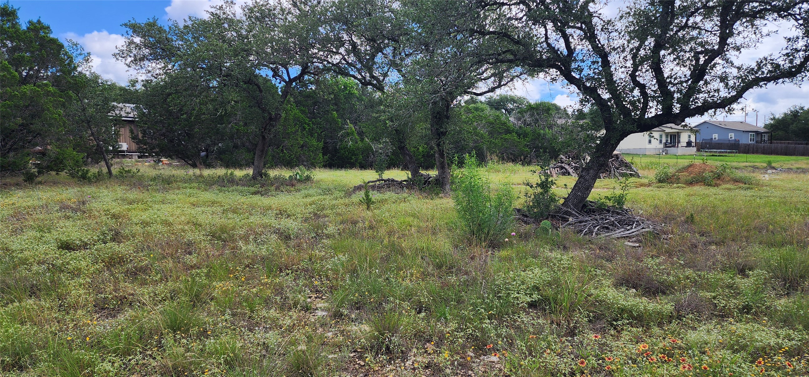 1285 Cedar Lake Spring Branch Spring Branch, TX 78070 - Photo 2 of 5 Mature trees and native foliage define this spacious, naturally beautiful homesite.