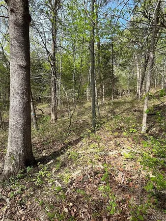 $75,900 | 3539 Red Oak Drive, Imperial, MO 63052