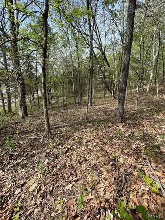 $75,900 | 3539 Red Oak Drive, Imperial, MO 63052