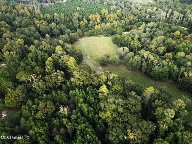 $4,900,000 | 11342 Highway 955, Ethel, LA 70730