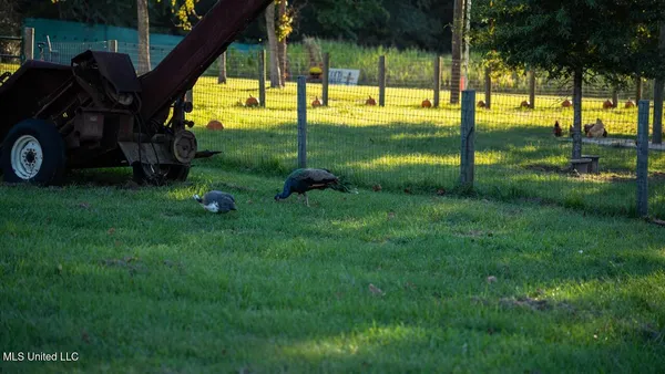 $4,625,000 | 11342 Highway 955, Ethel, LA 70730