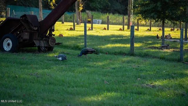 $4,900,000 | 11342 Highway 955, Ethel, LA 70730