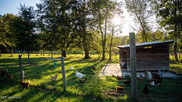 $4,625,000 | 11342 Highway 955, Ethel, LA 70730