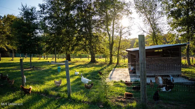 $4,900,000 | 11342 Highway 955, Ethel, LA 70730