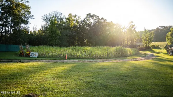 $4,625,000 | 11342 Highway 955, Ethel, LA 70730