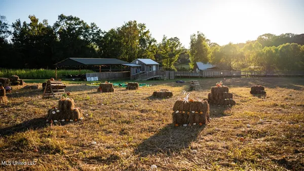 $4,625,000 | 11342 Highway 955, Ethel, LA 70730