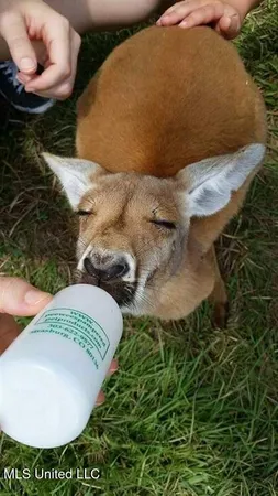 $4,625,000 | 11342 Highway 955, Ethel, LA 70730