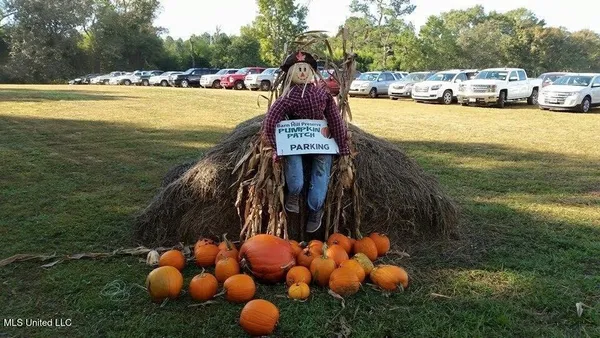 $4,625,000 | 11342 Highway 955, Ethel, LA 70730