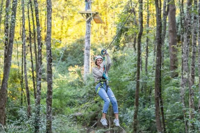 $4,900,000 | 11342 Highway 955, Ethel, LA 70730