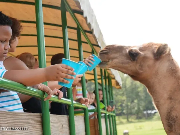 $4,625,000 | 11342 Highway 955, Ethel, LA 70730