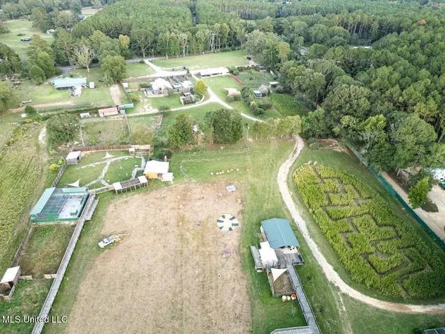 $4,900,000 | 11342 Highway 955, Ethel, LA 70730