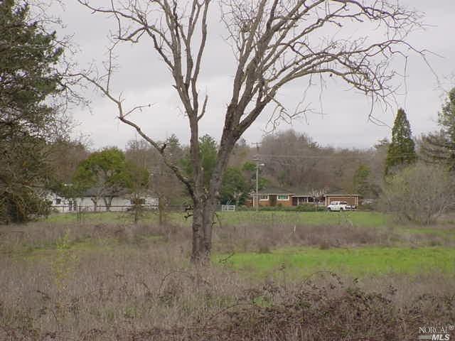 a view of a yard with a tree