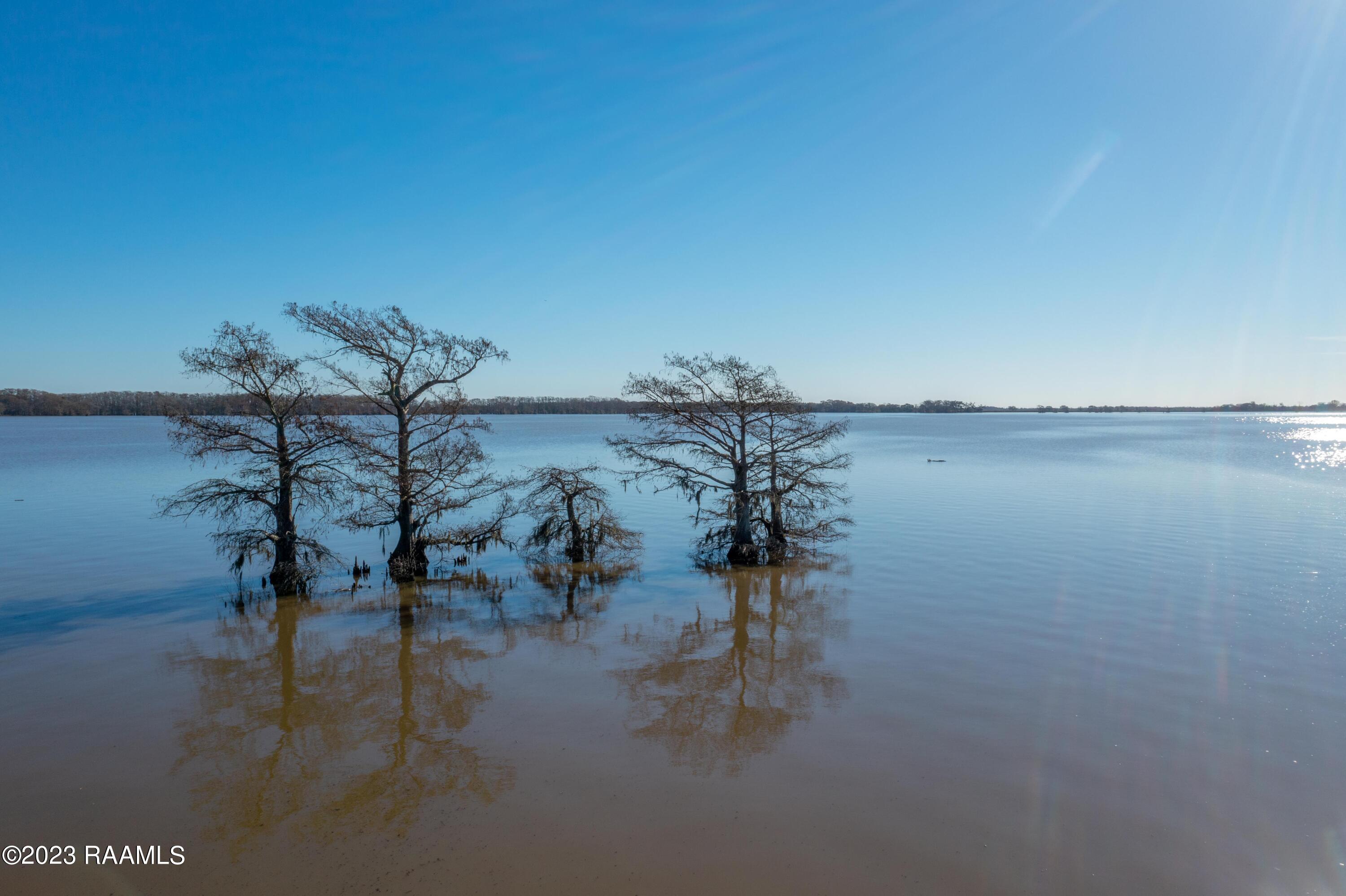 Lot A Morgan Shore's Road Lake Arthur, LA 70549 - Photo 14 of 15 Gallery Image 14